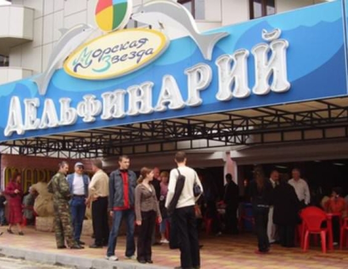 Дельфинарий - Курортный комплекс «Морская звезда» Лазаревское