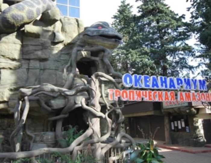 Океанариум - Курортный комплекс «Морская звезда» Лазаревское